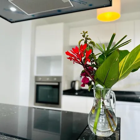 Modern And Comfortable Apartment *